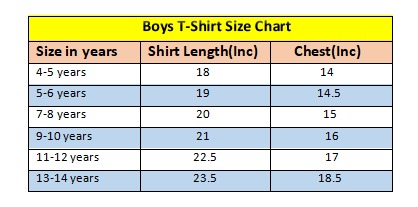 Fruit Printed Light Blue Boys T- Shirt 251