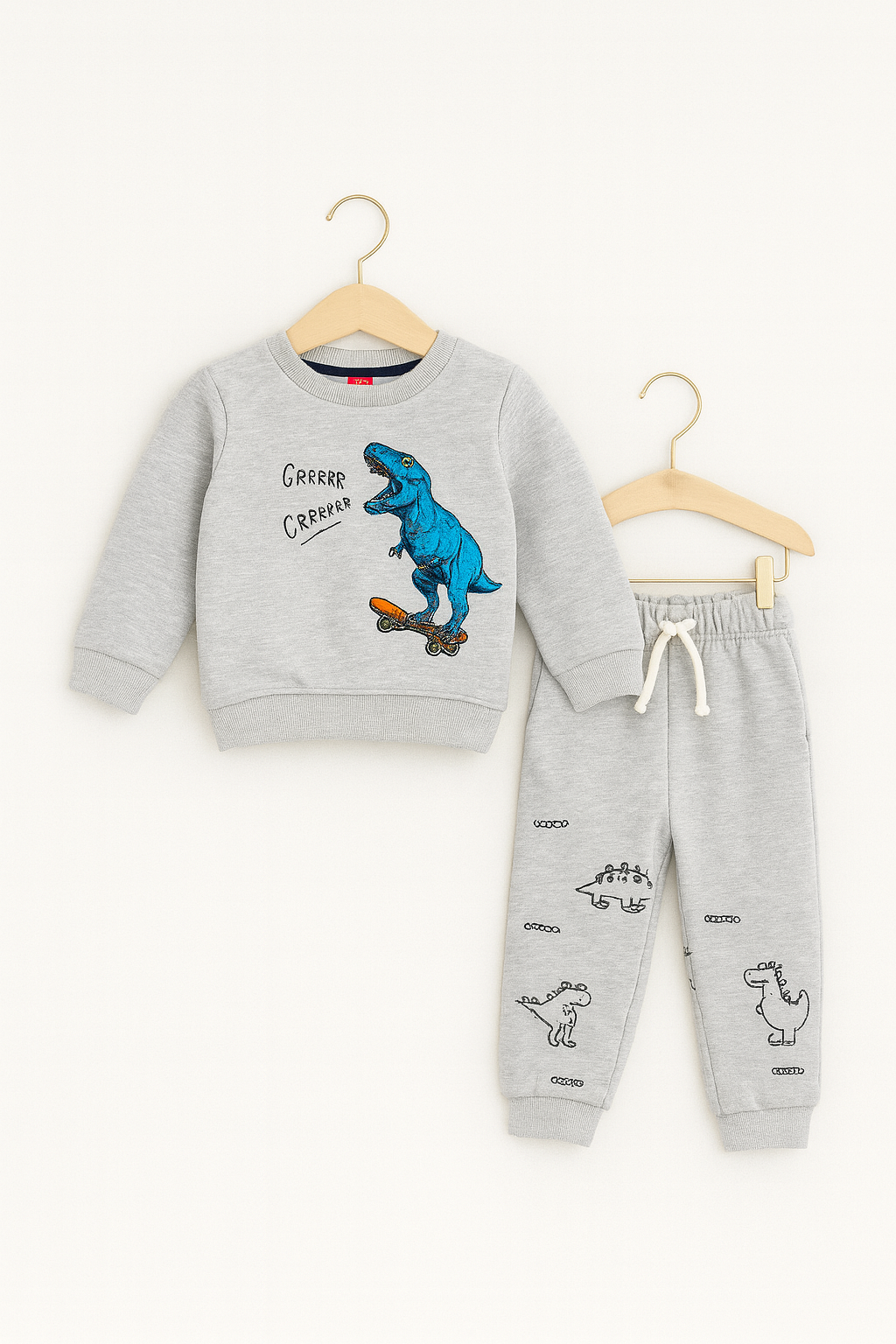 Boys Grey Dinosaur Print Tracksuit 222