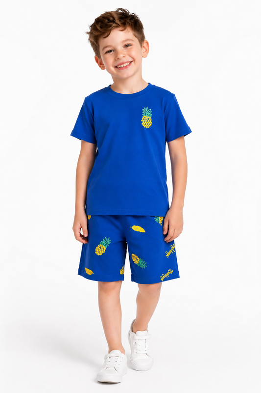 Pineapple Printed Blue  Boys Nicker Suit 627