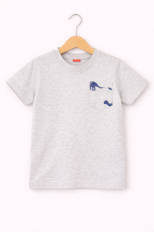 Dragan Printed on pocket Otmeal Boys T-Shirt 249