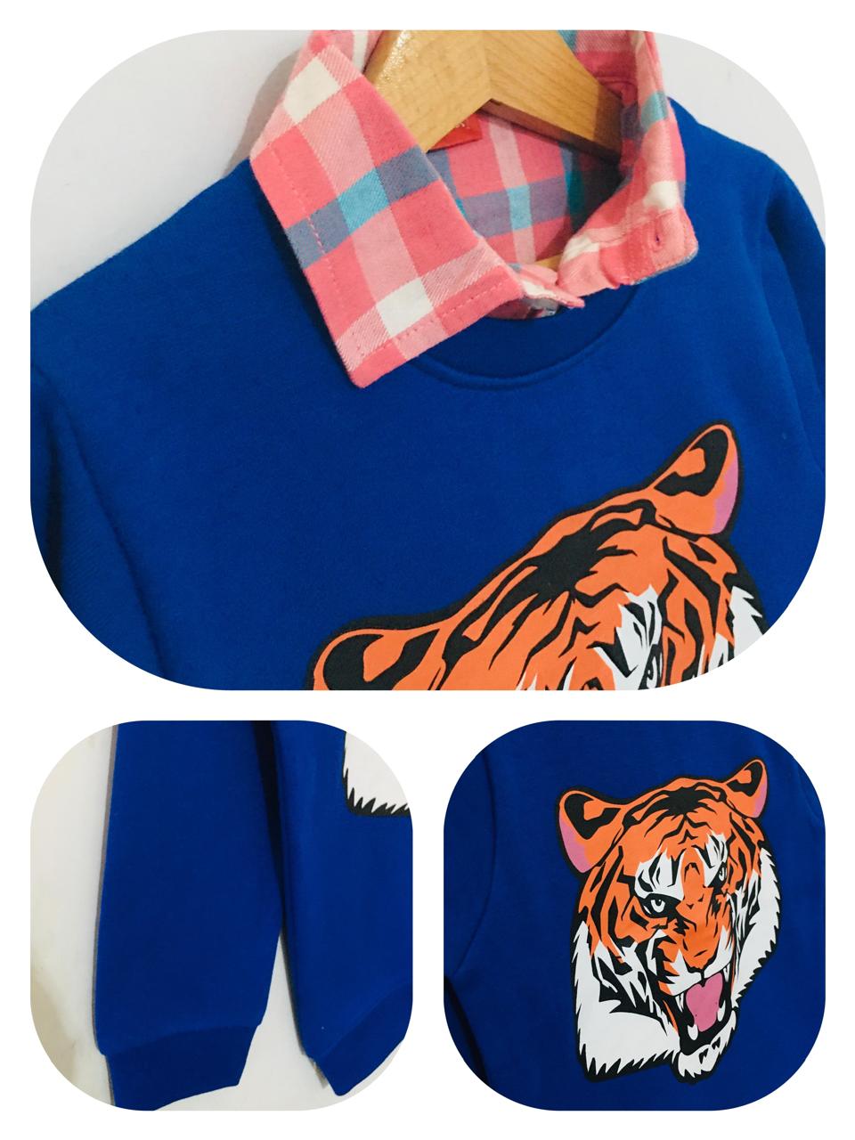 Tiger Royal Blue Double Sweat shirt Boys (005)