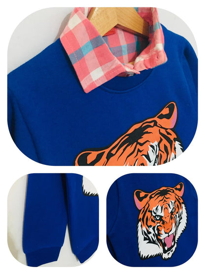 Tiger Royal Blue Double Sweat shirt Boys (005)