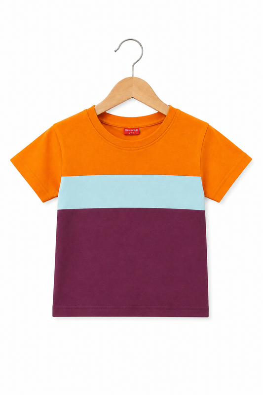Orange  & Purple  Checked  Boys T-Shirt