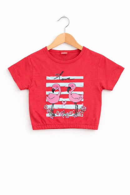 Girls red cotton crop t-shirt with pink flamingo “Love” graphic print and floral design, Pakistan casual summer Kidswear 
