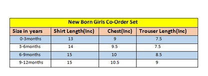 Red Starwberry Printed Red & White  New Born Girls Co-Ord set