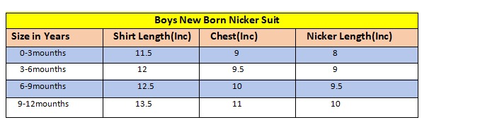 Little Giraffe Printed Light Blue  New Born  Nicker Suit 225