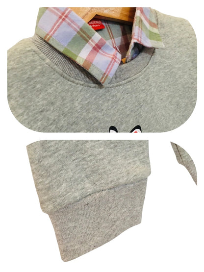 Zebra Gray Double Sweat Shirt Boys (004)