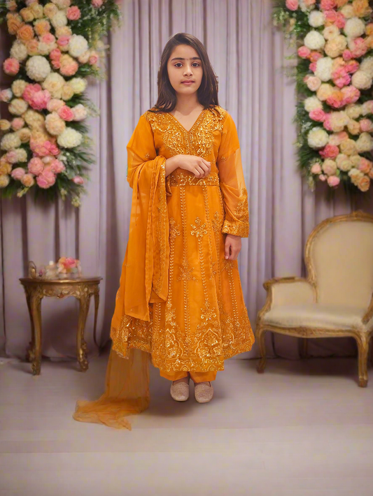 Three-piece Orange Fancy Chiffon Frock