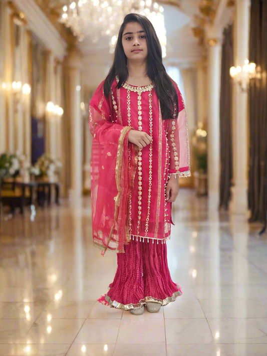 Three-piece Gharara Mirror, Pink Organza Suit