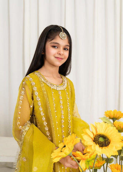 Three-piece Gharara Mirror, Yellow Organza Suit