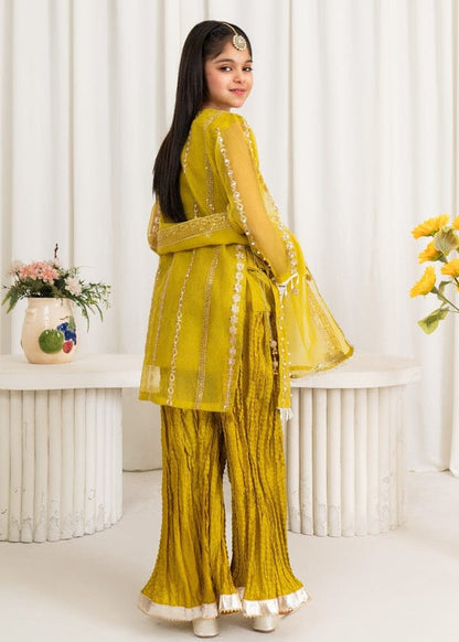 Three-piece Gharara Mirror, Yellow Organza Suit