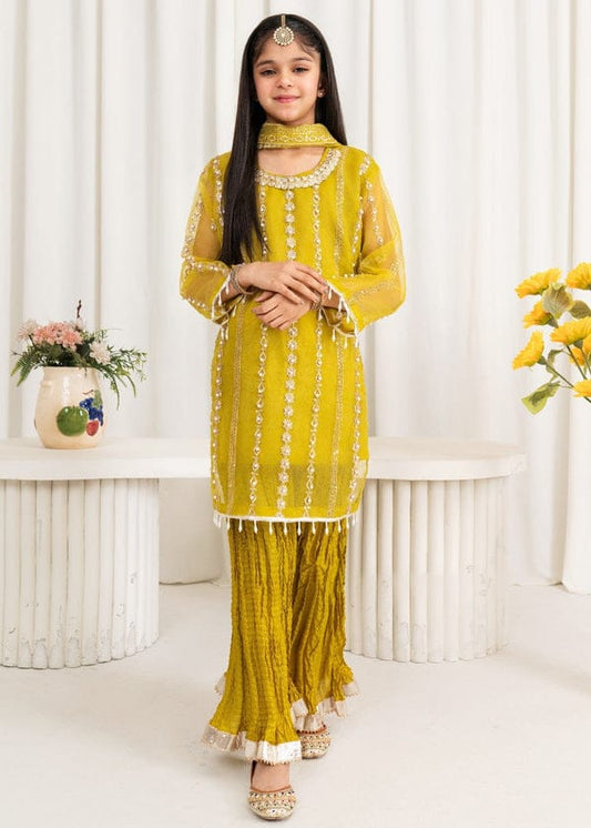 Three-piece Gharara Mirror, Yellow Organza Suit