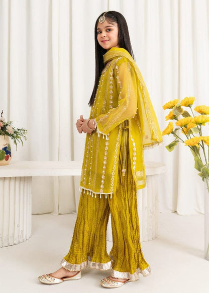 Three-piece Gharara Mirror, Yellow Organza Suit