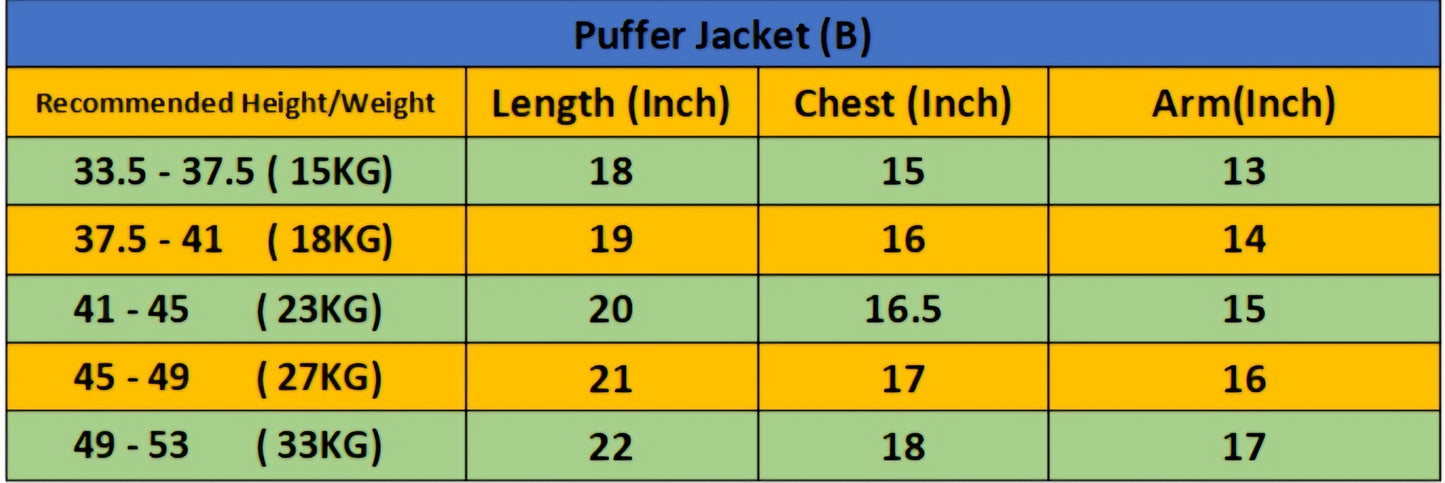 Imported Puffer Jacket Hooded -  Blue
